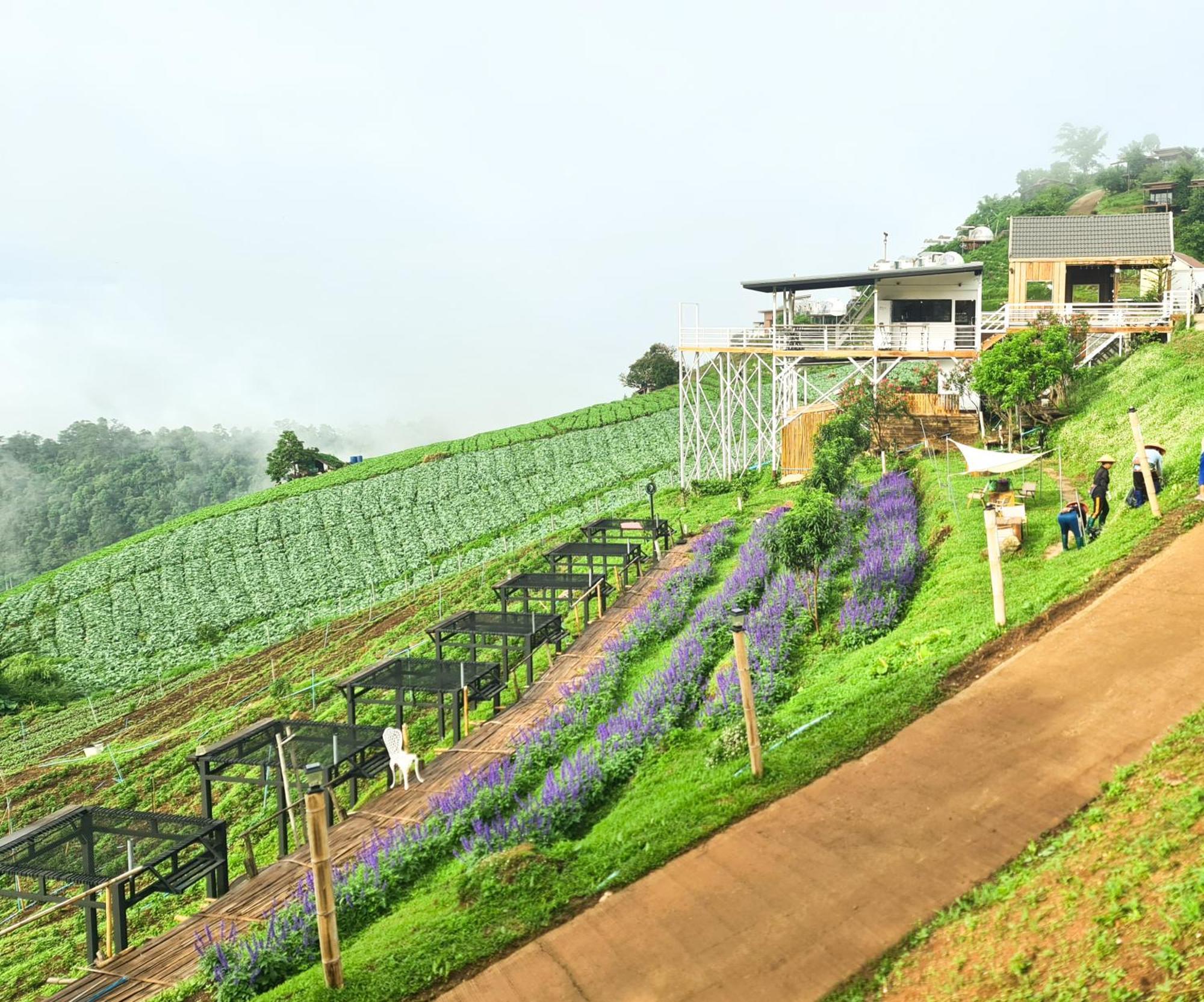 ภูวินคาเฟ่ โฮมสเตย์ Phuwin Cafe Homestay Mon Jam ภายนอก รูปภาพ